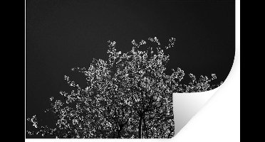 Muurstickers - Sticker Folie - Bloemen - Boom - Takken - 30x20 cm - Plakfolie - Muurstickers Kinderkamer - Zelfklevend Behang - Zelfklevend behangpapier - Stickerfolie