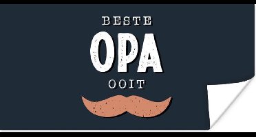 Poster Quotes - Kado voor man - Vaderdag - Beste opa ooit - Spreuken - 40x20 cm - Vaderdag cadeau - Geschenk - Cadeautje voor hem - Tip - Mannen