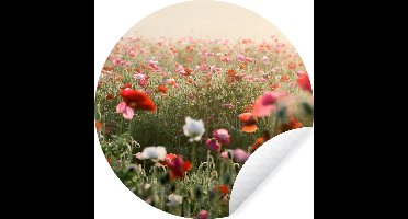 WallCircle - Muurstickers - Behangcirkel - Klaproos - Kleuren - Pastel - ⌀ 30 cm - Muurcirkel - Zelfklevend - Ronde Behangsticker