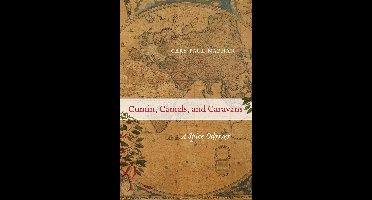 Cumin, Camels, and Caravans – A Spice Odyssey