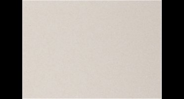 Creotime Kraft Karton Grijs 70 X 100 Cm 10 Vellen 2 Mm Dik