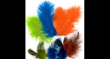 Vaessen Creative Marabou - feathers & guinea fowl - 5-13cm - Neon