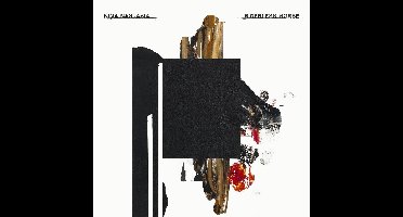 Nina Nastasia - Riderless Horse (CD)