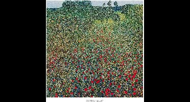 Kunstdruk Gustav Klimt - Campo di papaveri 70x70cm