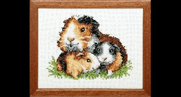 Pako Borduurpakket met telpatroon - Cavia 's - 210.869 - voorgesorteerd garen - Aida ivoor - 13 x 17 cm - DIY kit