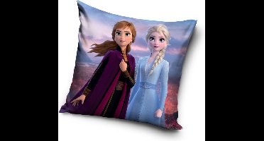 Frozen Sierkussen 40x40cm Gevuld Polyester