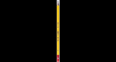 Bruynzeel Bruynzeel 12 grafietpotloden 3B