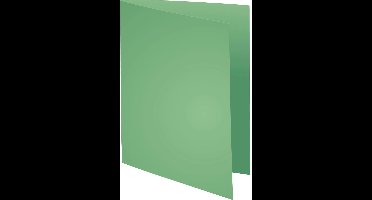 Exacompta 5x SUPER 60 - Pak van 250 inlegmappen - 22x31cm voor A4 - Lichtgroen - 850004E