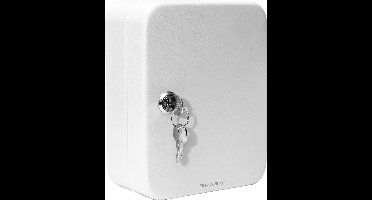 BRASQ Sleutelkast - 16x20x7,5 cm - Sleutelkluis - Sleutelbox - Met Cilinderslot - 20 haken voor sleutels - KC100 - Grijs