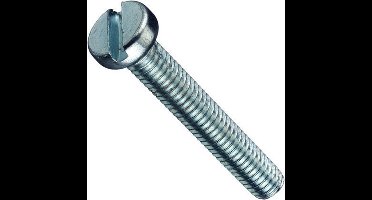 Metaalschroef M4 x 30mm. lang. Cilinderkop. RVS-A2. 9 stuks bouten met moeren. Homefix.