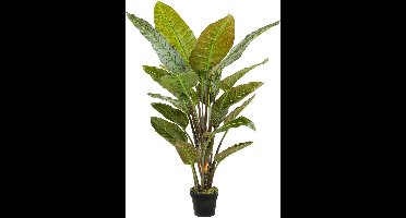 Kunstplant Strelitzia 135 cm