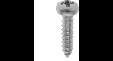 HOMEFIX. Spaan-Plaat-Schroef .Cylinderkop 18 stuks 4.2x16mm RVS-A-2. Hout-Schroeven. Kruiskop poz.