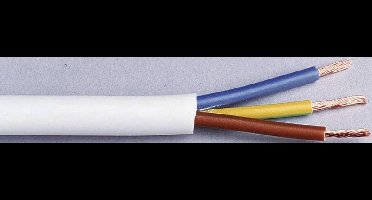 LAPP 1601204/10 Geïsoleerde kabel H03VV-F 3 x 0.75 mm² Zwart 10 m