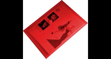 10x EXXO-HFP - #90146 - A4 Documentenmap - Landschap model - Klitsluiting - Rood