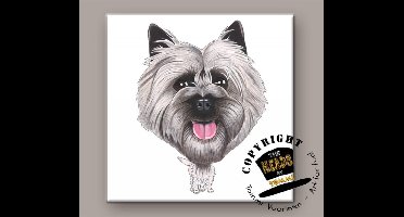 Tegel Hond Cairn Terrier
