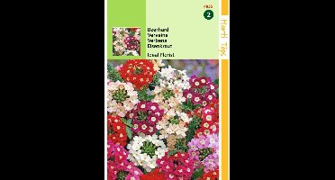 Ijzerhard Bloemzaad - Ideal Florist - Gemengd