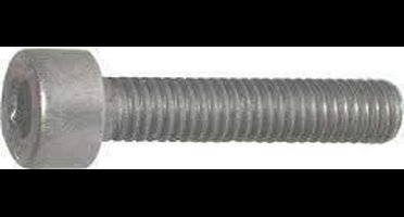 Inbusbouten M3x 20 mm RVS