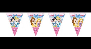 Disney Princess - Plastic Vlaggenvlag