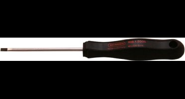 Skandia Schroevendraaier - 100 x 4 mm