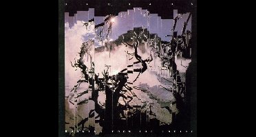 Burning From The Inside