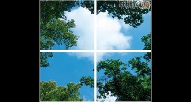 Wolkenplafond LED Paneel - Fotoprint Afbeelding Wolk en Bos - Geprint op 4 Platen - 595x595