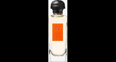 Hermès Eau d'Hermès - 100 ml - eau de toilette spray - unisexparfum
