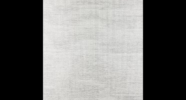 Dutch Wallcoverings Glasvezelbehang - Glasweefselbehang - Visgraat fijn - 25 meter