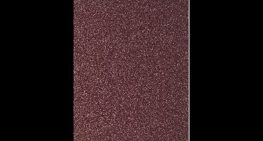 Bosch Schuurvel 2609256B64