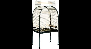 DIAMOND PAPEGAAIKOOI GOUD