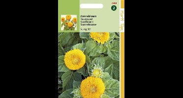 Hortitops Zaden - Helianthus Annuus Sungold Dubbelbl. Laag