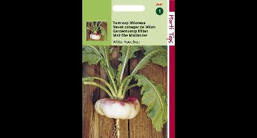 Hortitops Zaden - Rapen Milanese (Platte) Witte Roodkop
