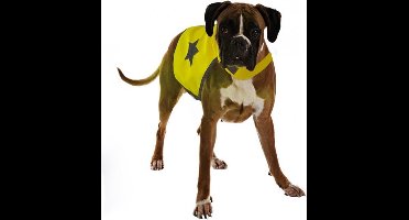 Veiligheidsjasje Fluo