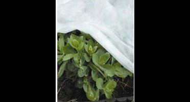 Vliesdoek 17 g/m² - 10 x 1,5 m