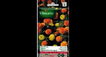 Tagetes Dwerg Gemengd