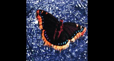 The Baroness - Royal Treatment