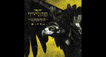Trench