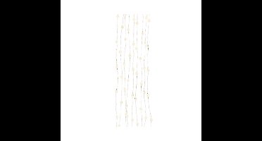 Cascadeverlichting 60LED warmwit.