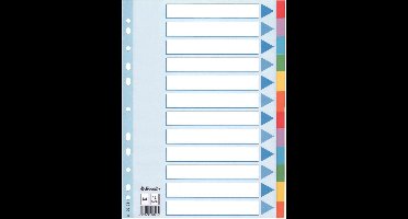 Esselte tabbladen 12 tabs