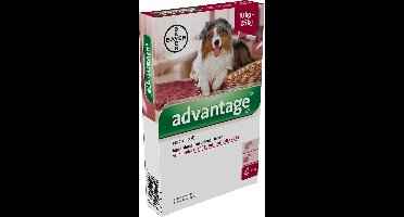 Advantage Hond 4 Pipetten - 250 VANAF 10 KG