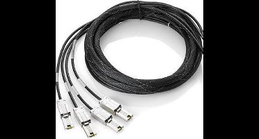 Hewlett Packard Enterprise 1.0m Mini SAS HD 1 m