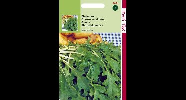 Hortitops Zaden - Bladmoes Namenia