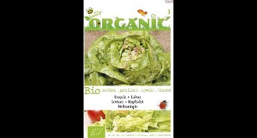 Buzzy® Organic Kropsla Meikoningin (BIO)