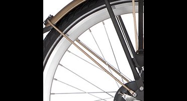 Alpina Spatbordstang achter 24 Curve matt gold