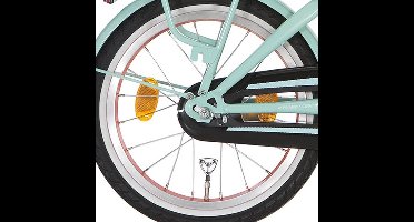 Alpina achterwiel 18 remnaaf J20 salomon zink spk