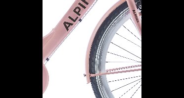 Alpina Spatbord set 26 Clubb gold met matt