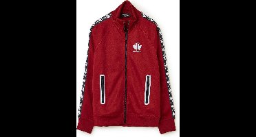 Dsquared2 Logo Vest - Rood - Maat 176 - 16jaar