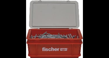 Fischer Nagelschroevenset met pluggen 200 st N8x60