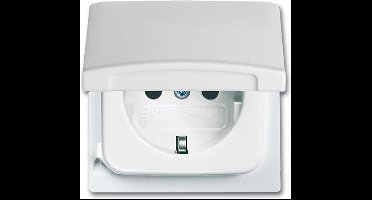 ABB Busch-Jaeger All-weather IP44 Wandcontactdoos (WCD-Schakelmateriaal) - 2CKA002064A0306 - E33ZZ