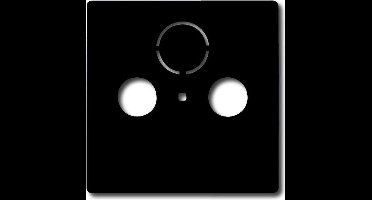 ABB Busch-Jaeger Future Inserts Switchgear - 2CKA001724A4252 - E2H8B