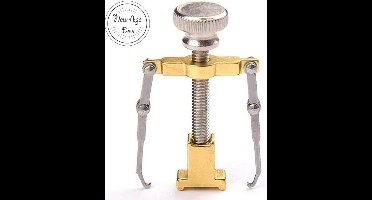 Ingegroeide Teennagel Corrector Lifter Pedicure gereedschap